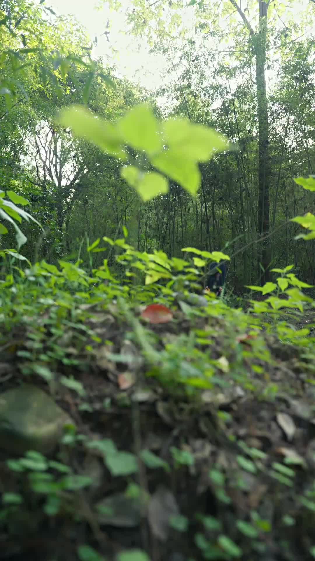Episódio 60 de O Punho Proibido