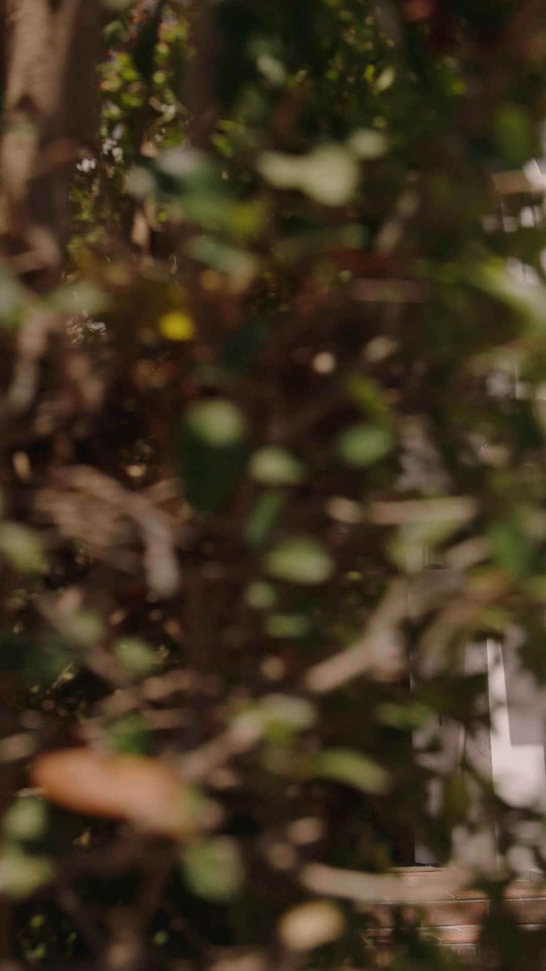 Episódio 59 de O Rei Mendigo Retorna