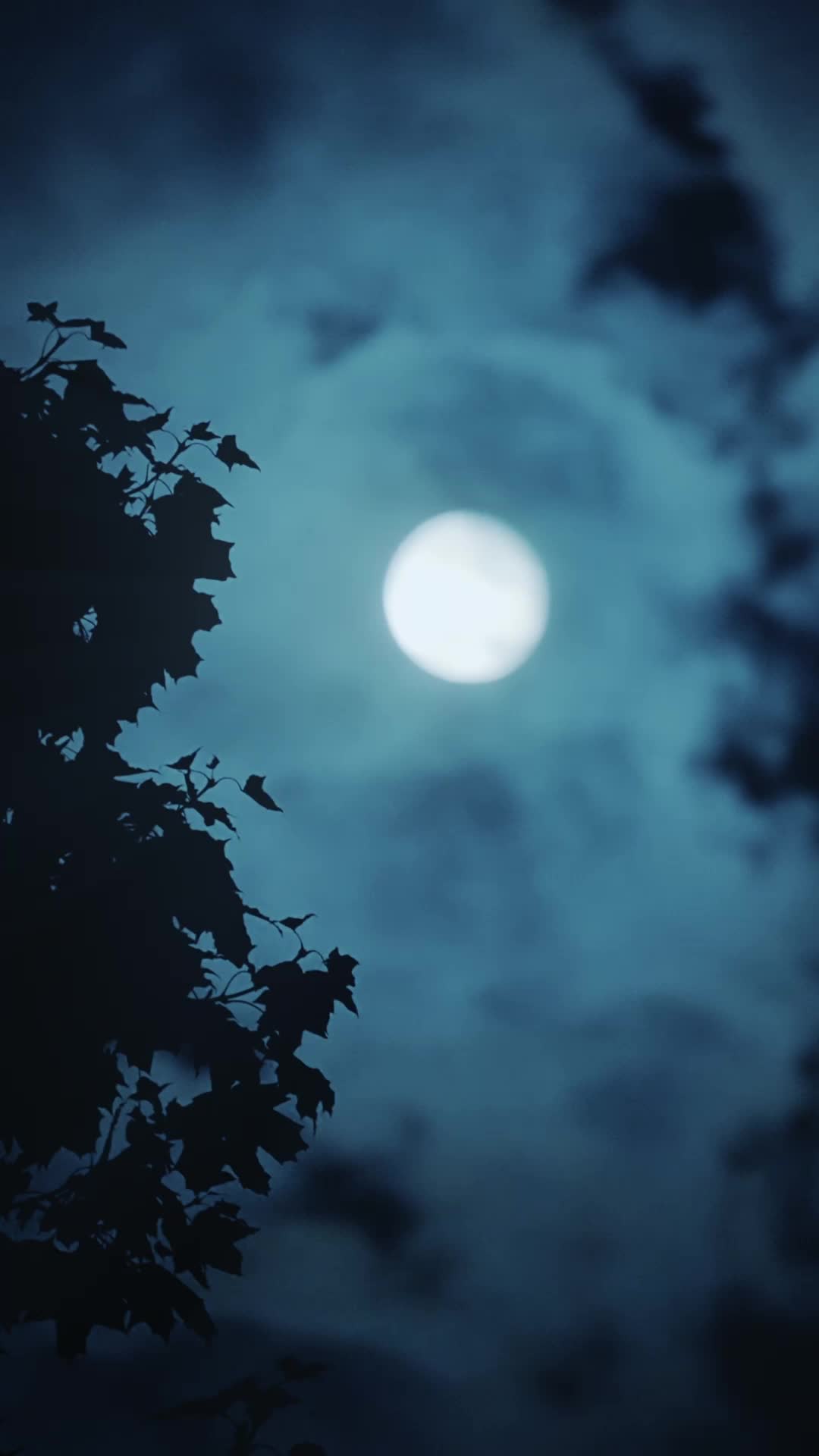 Episódio 58 de O retorno da minha rainha do drama