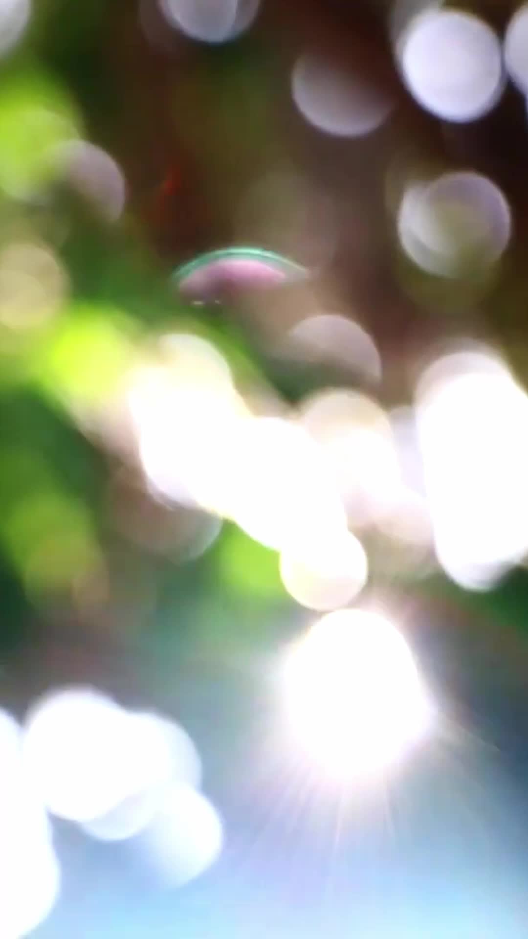 Episódio 59 de O retorno da minha rainha do drama