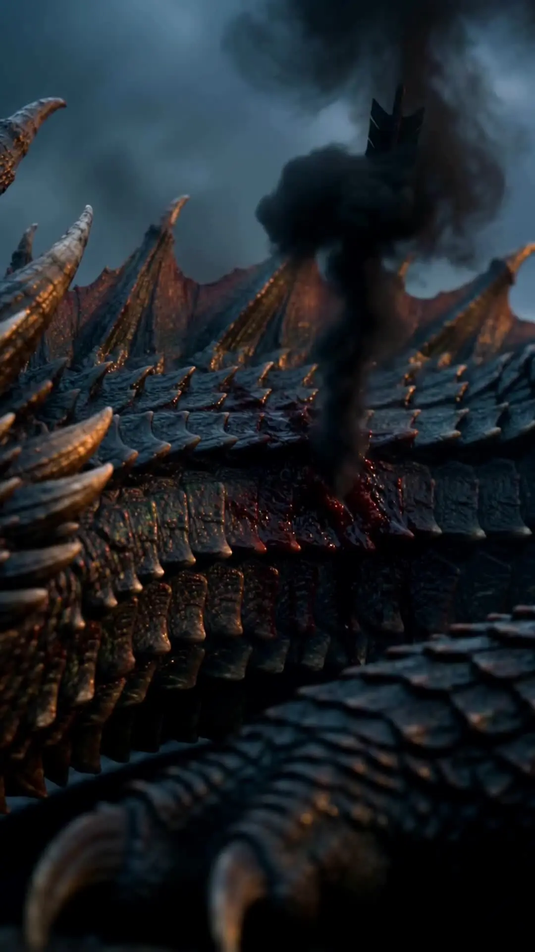 Episódio 33 de O Sacrifício Virgem que o Rei Dragão Reivindica