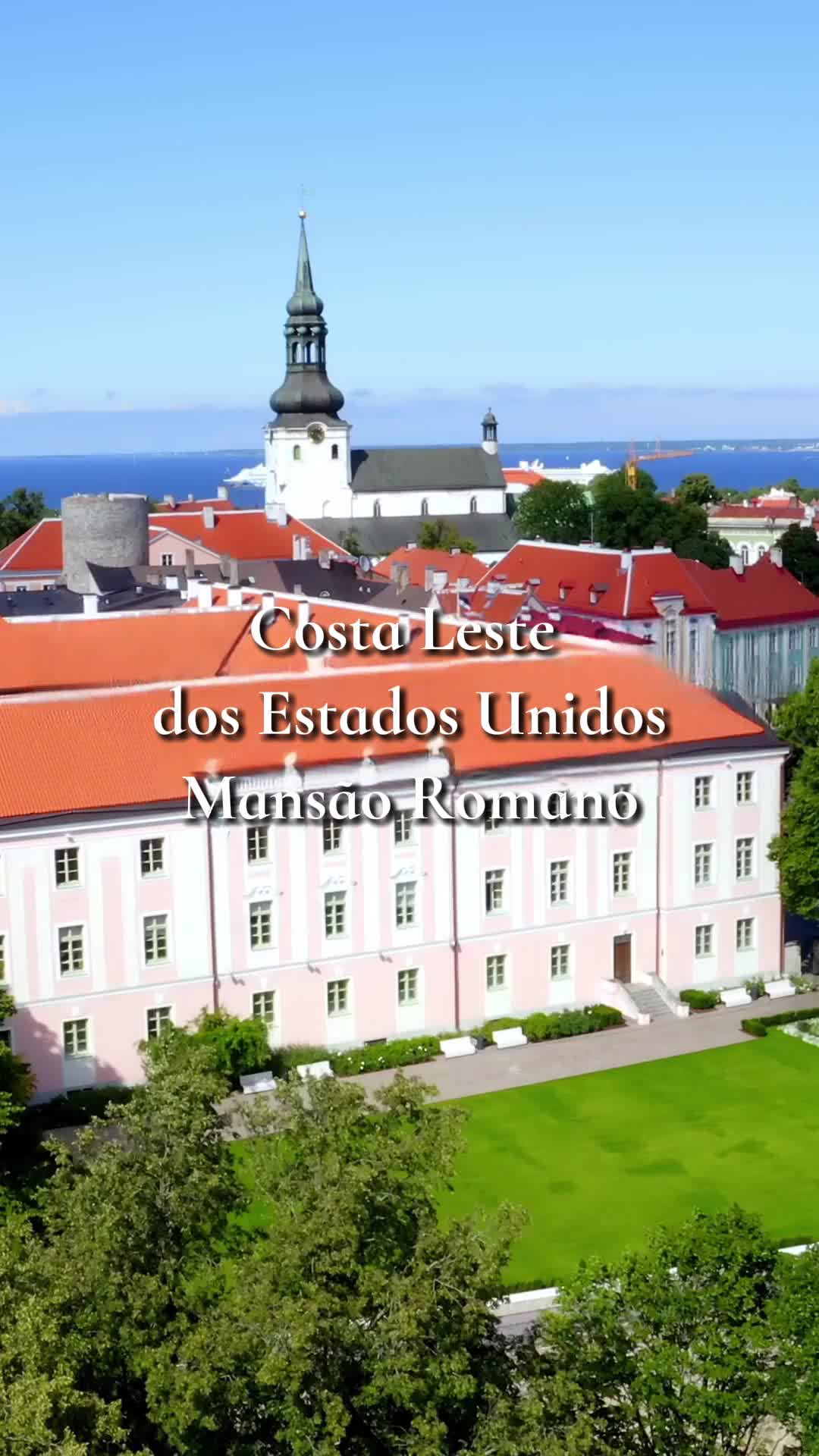 Episódio 19 de O Substituto da Chefe da Máfia