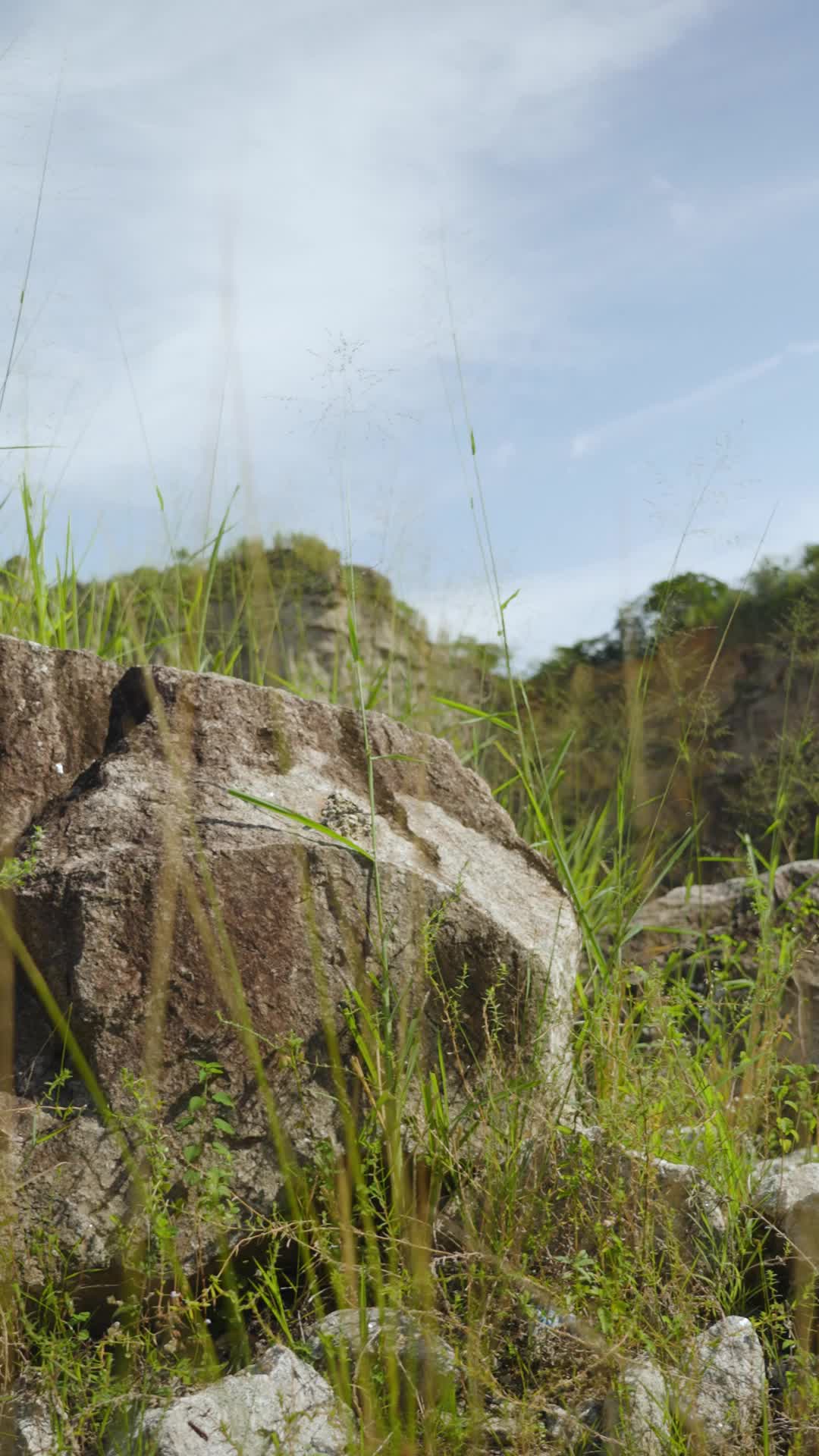 Episódio 1 de O Último Tiro do Rei das Armas