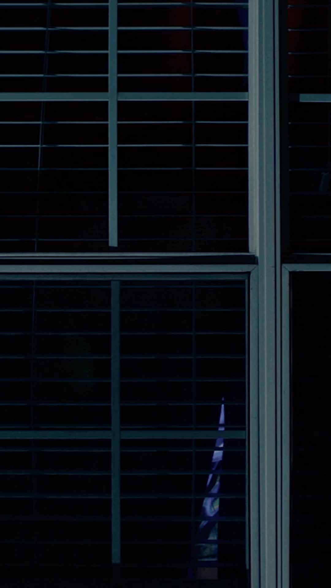 Episódio 17 de O vampiro da porta ao lado