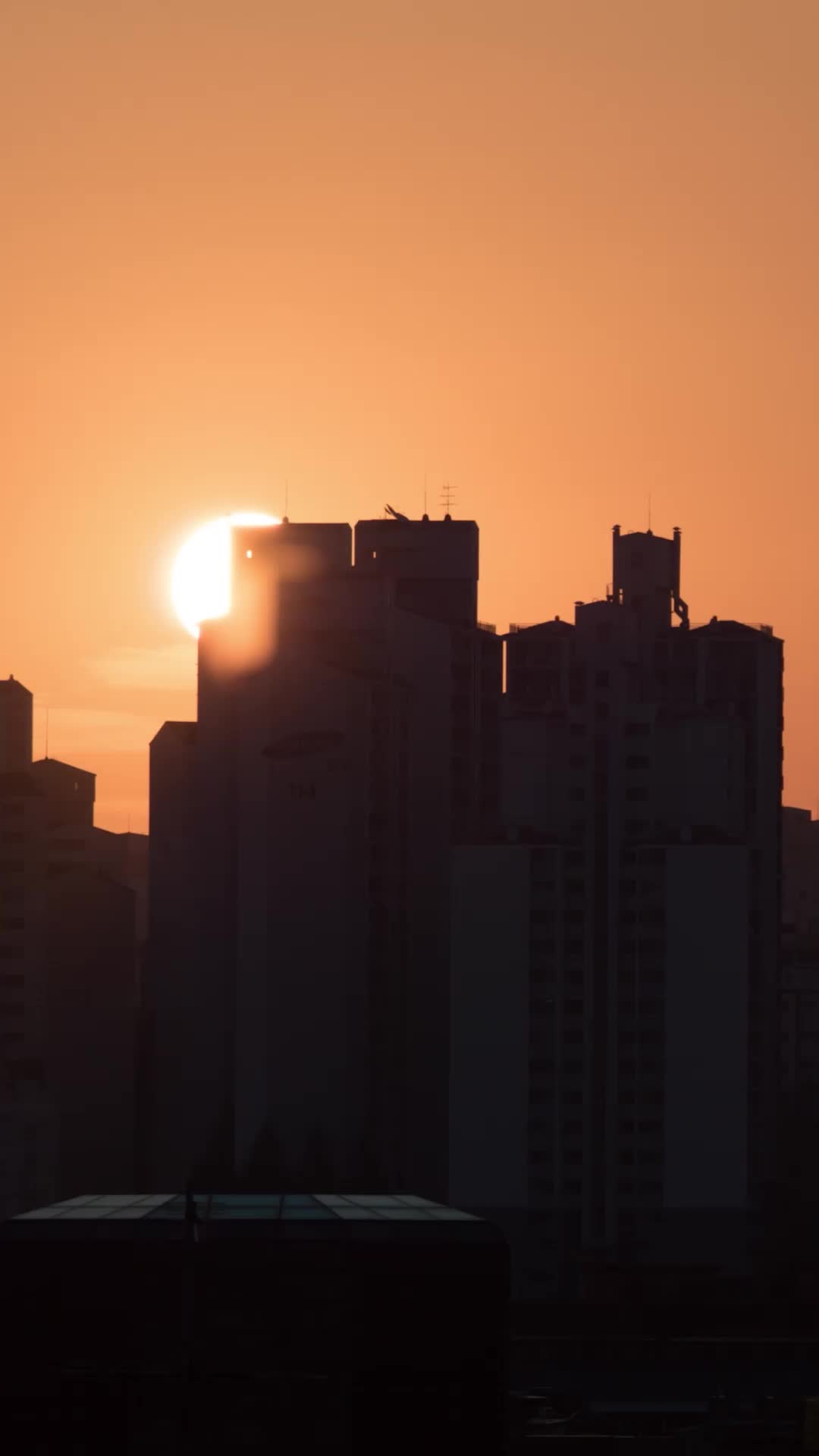Episódio 21 de O Zelador Bilionário e a Noiva Substituta