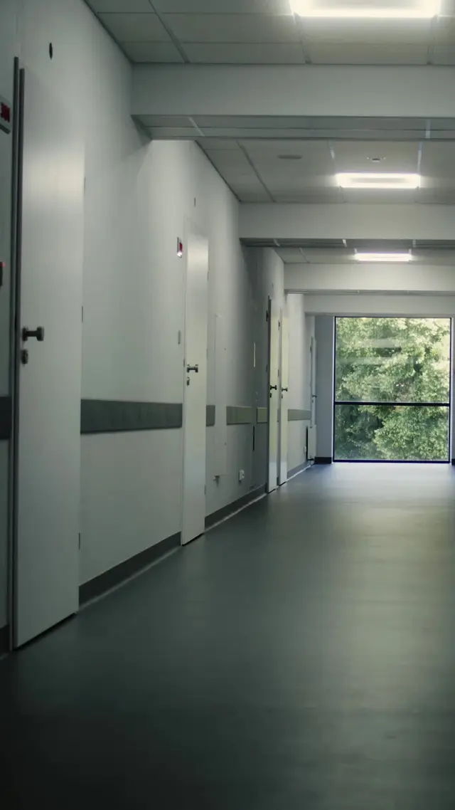 Episódio 82 de ¡Olá! Vamos nos Casar?