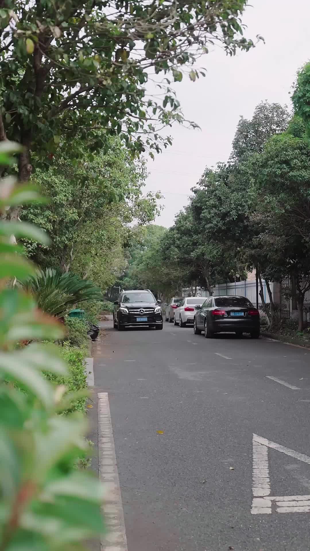 Episódio 70 de Ops! Troquei de Noivo na Noite de Núpcias