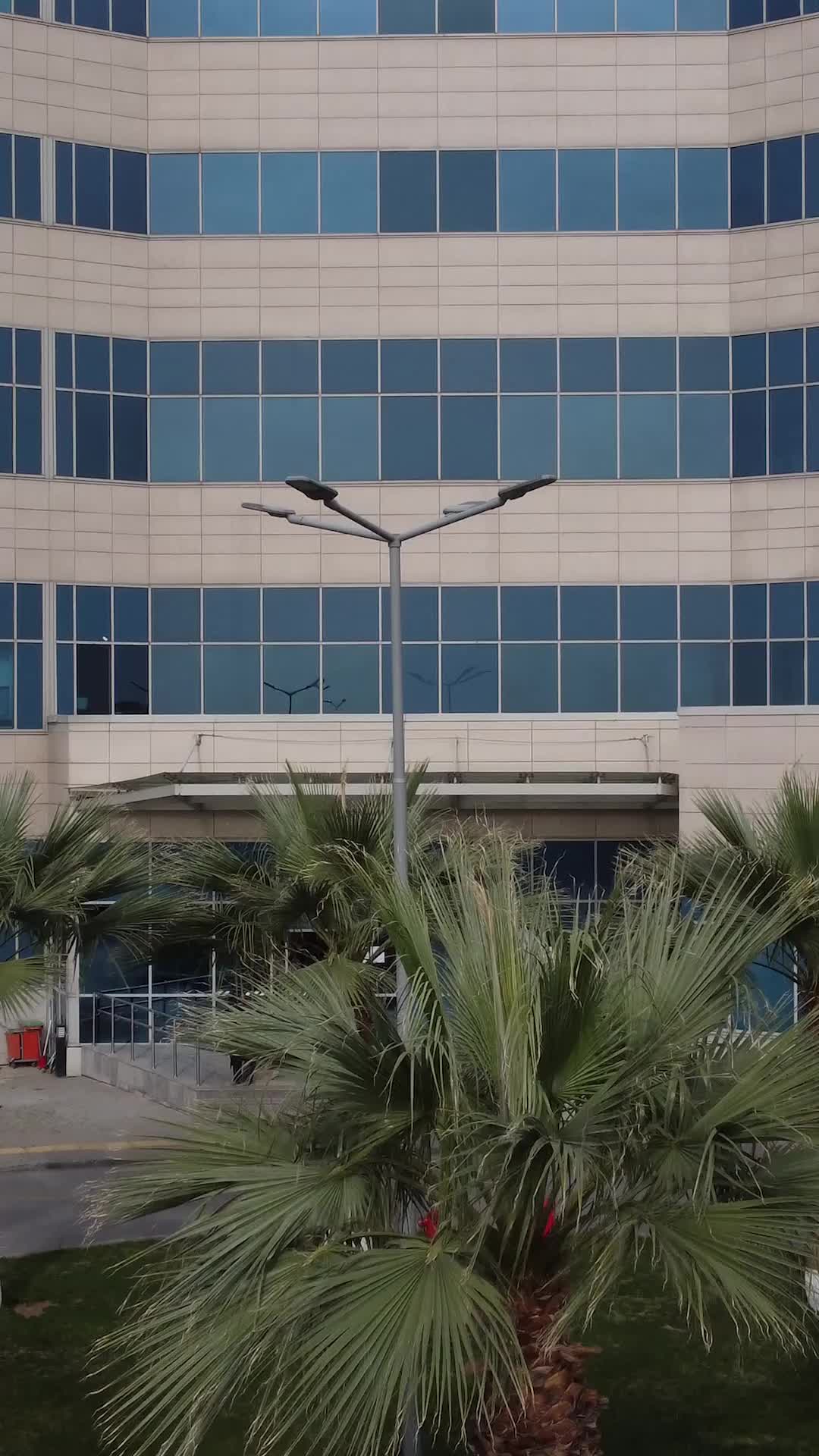 Episódio 40 de Para o meu Romeu, com amor