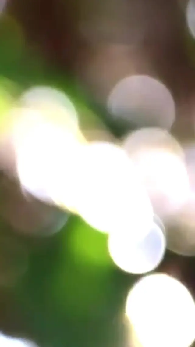 Episódio 31 de Princesa Noiva em Fuga