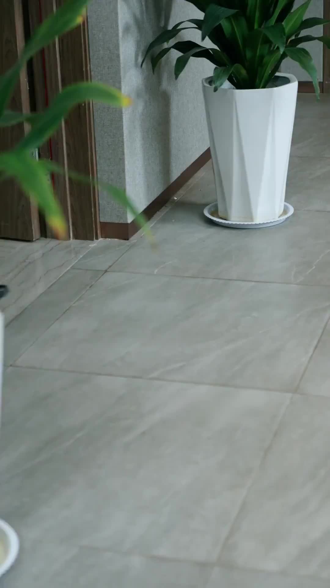 Episódio 55 de Prisioneiro de um Big Shot se levanta