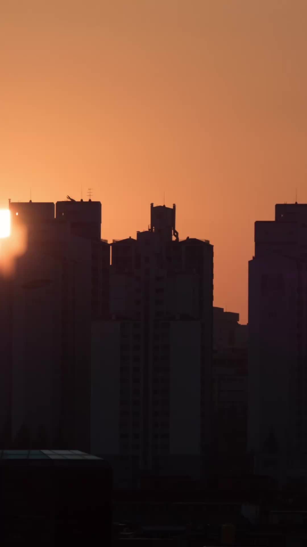 Episódio 41 de Protetor infiltrado