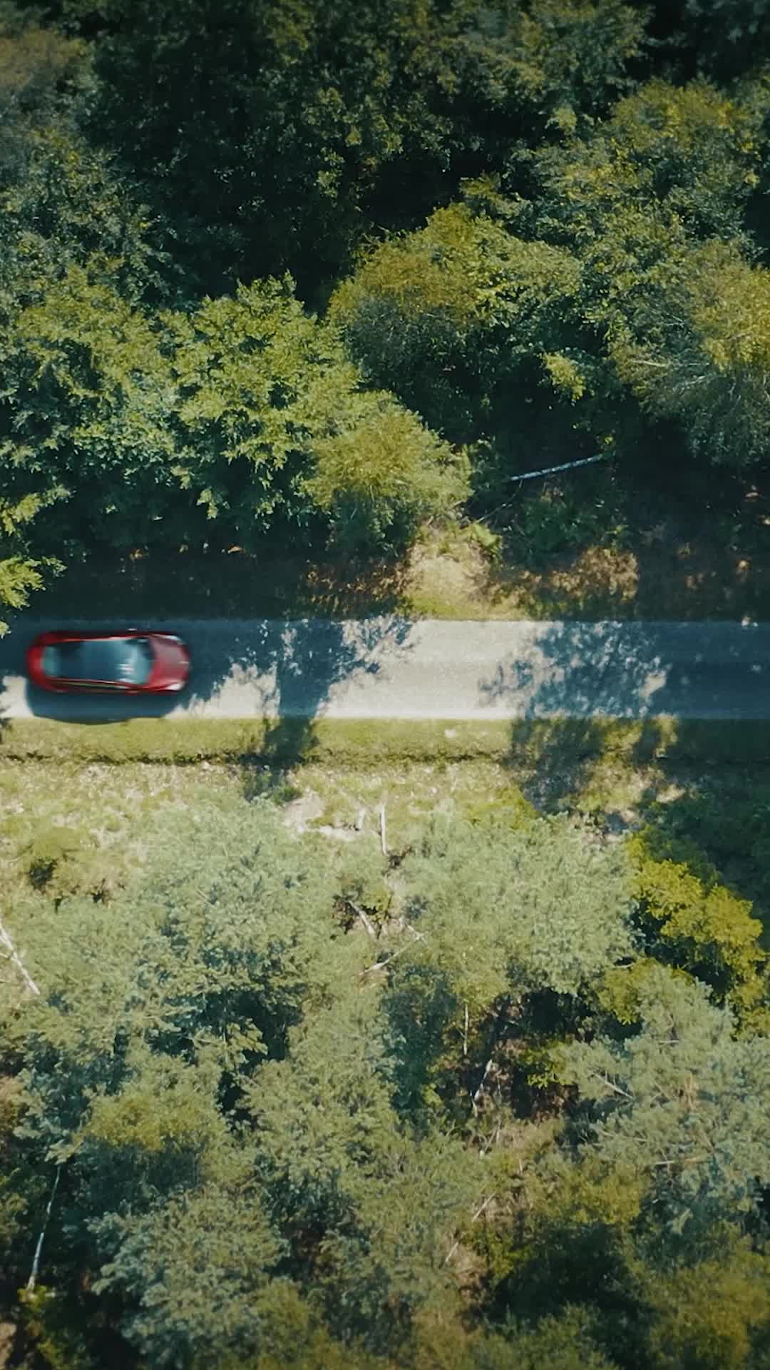 Episódio 66 de Quando a Tristeza do Amor Toca Novamente