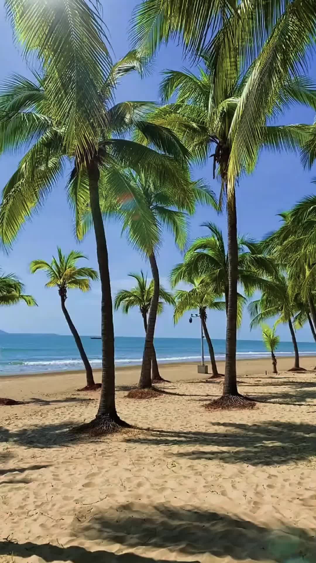 Episódio 57 de Quando Ela Desistiu do Amor Dele