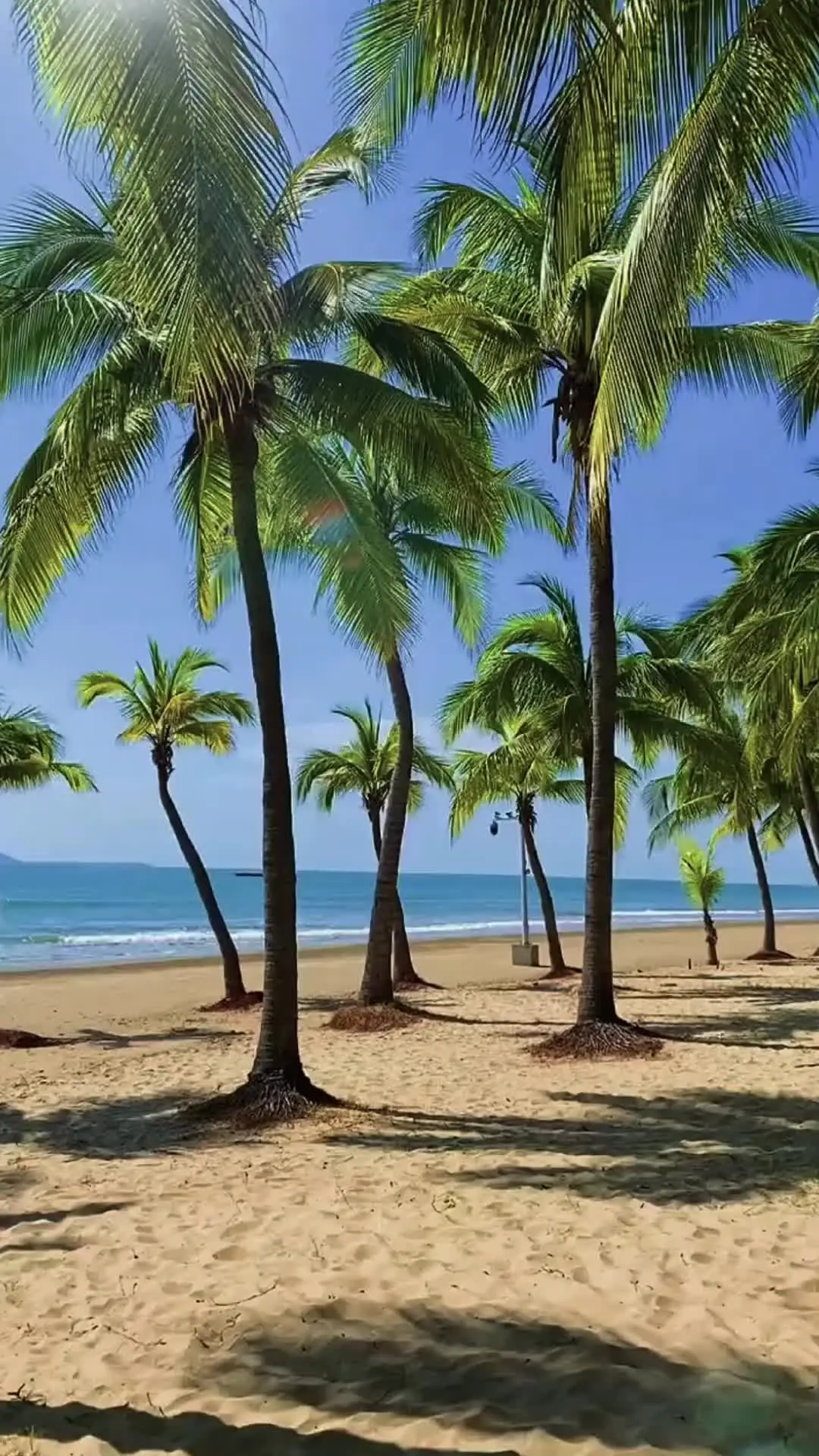 Episódio 57 de Quando Ela Desistiu do Amor Dele