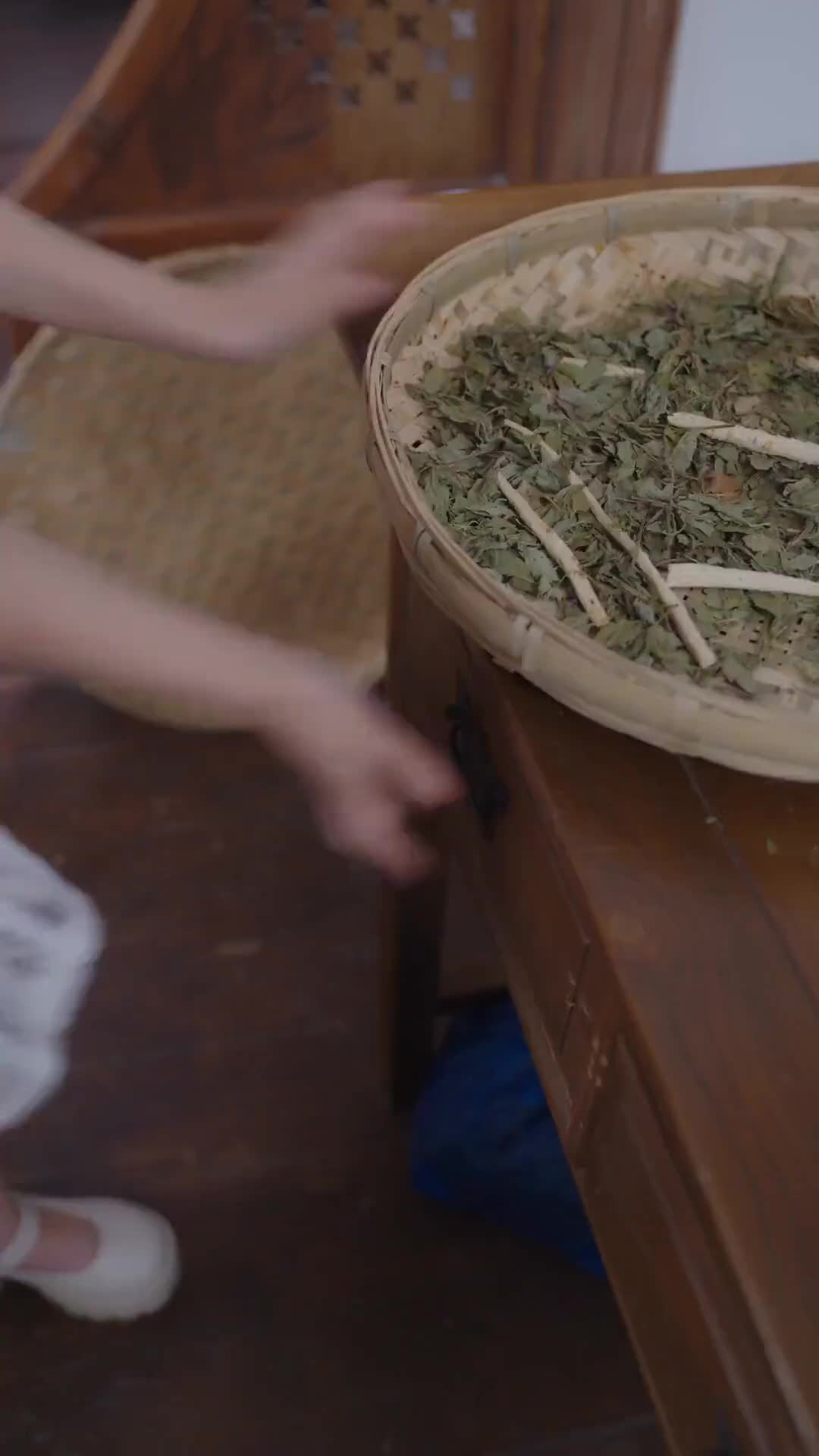 Episódio 5 de Quando Meus Gêmeos Encontraram Seu Pai