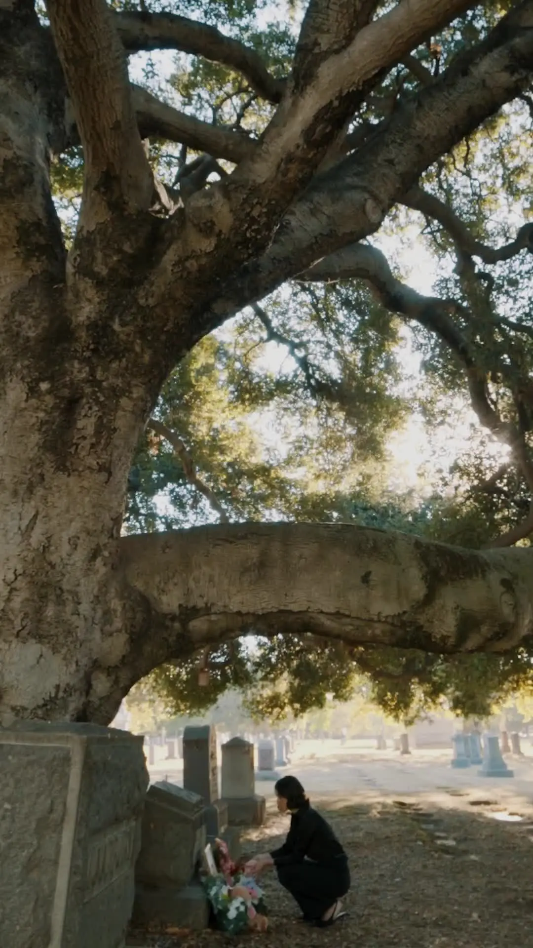 Episódio 18 de Quando o Amor Chega Tarde