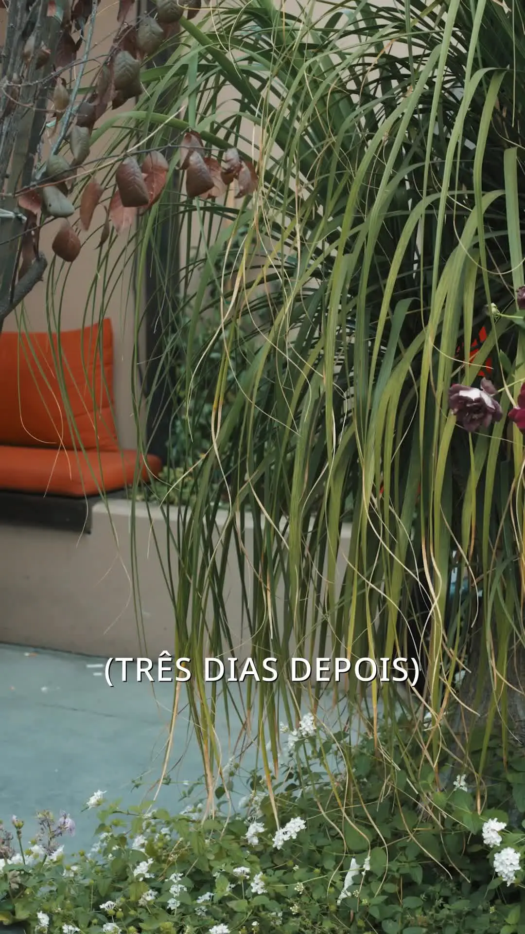 Episódio 41 de Quando o Amor Chega Tarde