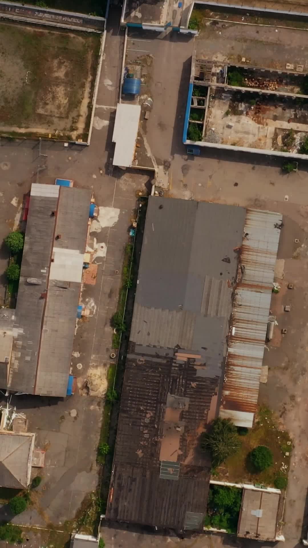 Episódio 53 de Quando o Amor Chega Tarde