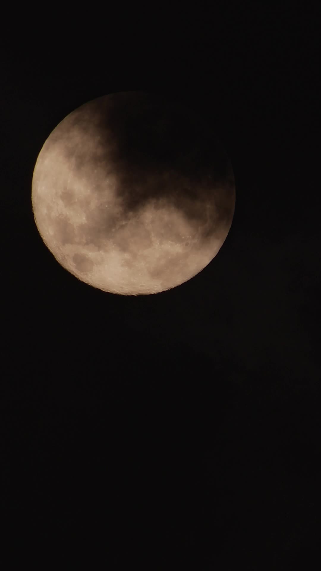 Episódio 1 de Rainha Alfa Traída Ressurge das Cinzas