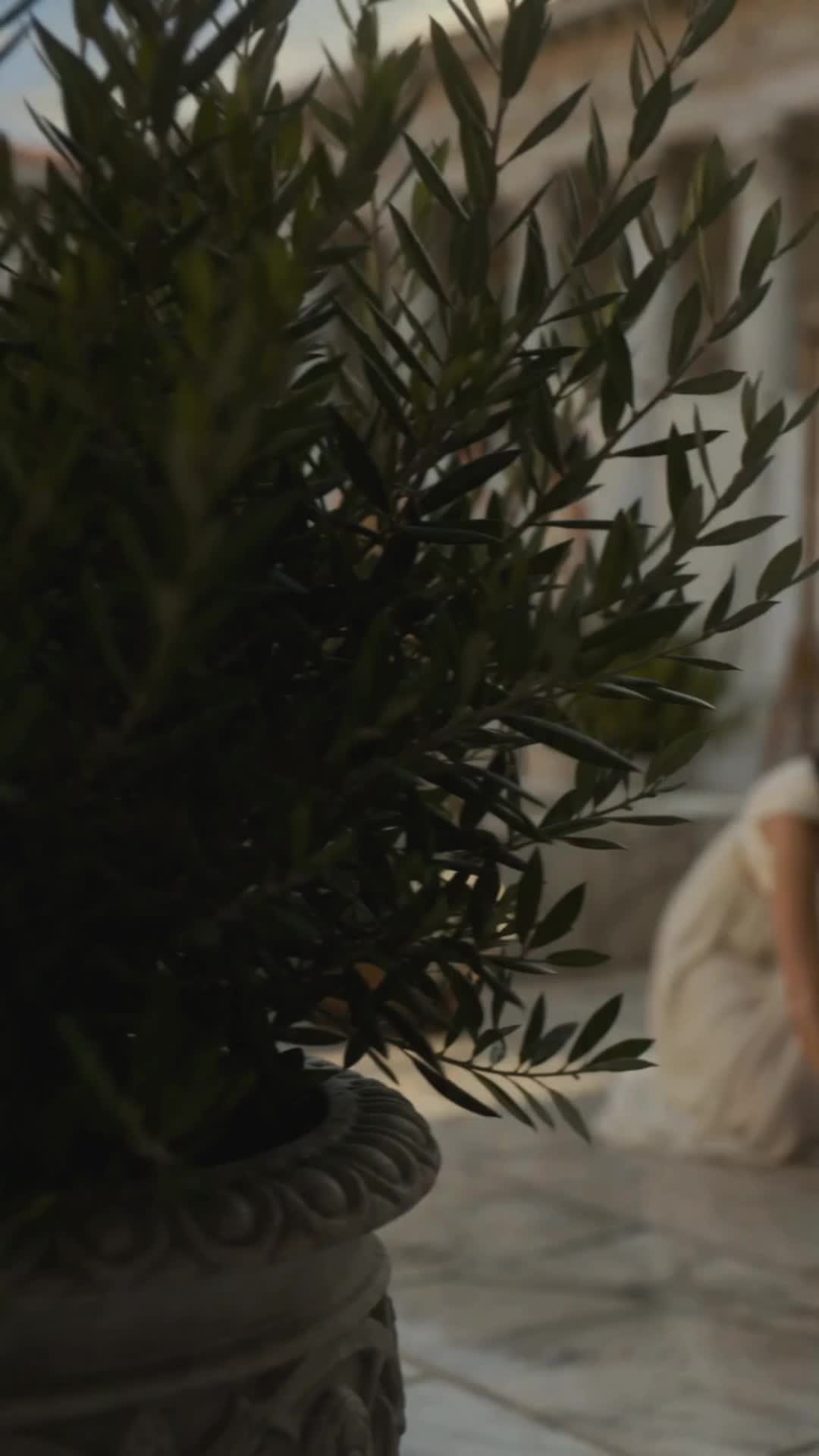 Episódio 39 de Reivindicada pelo Filho de Apolo