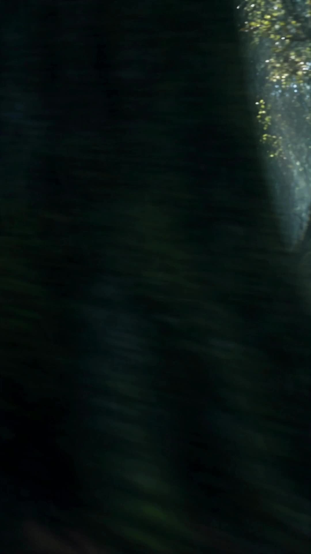 Episódio 44 de Rejeitando as Cinco Destinadas