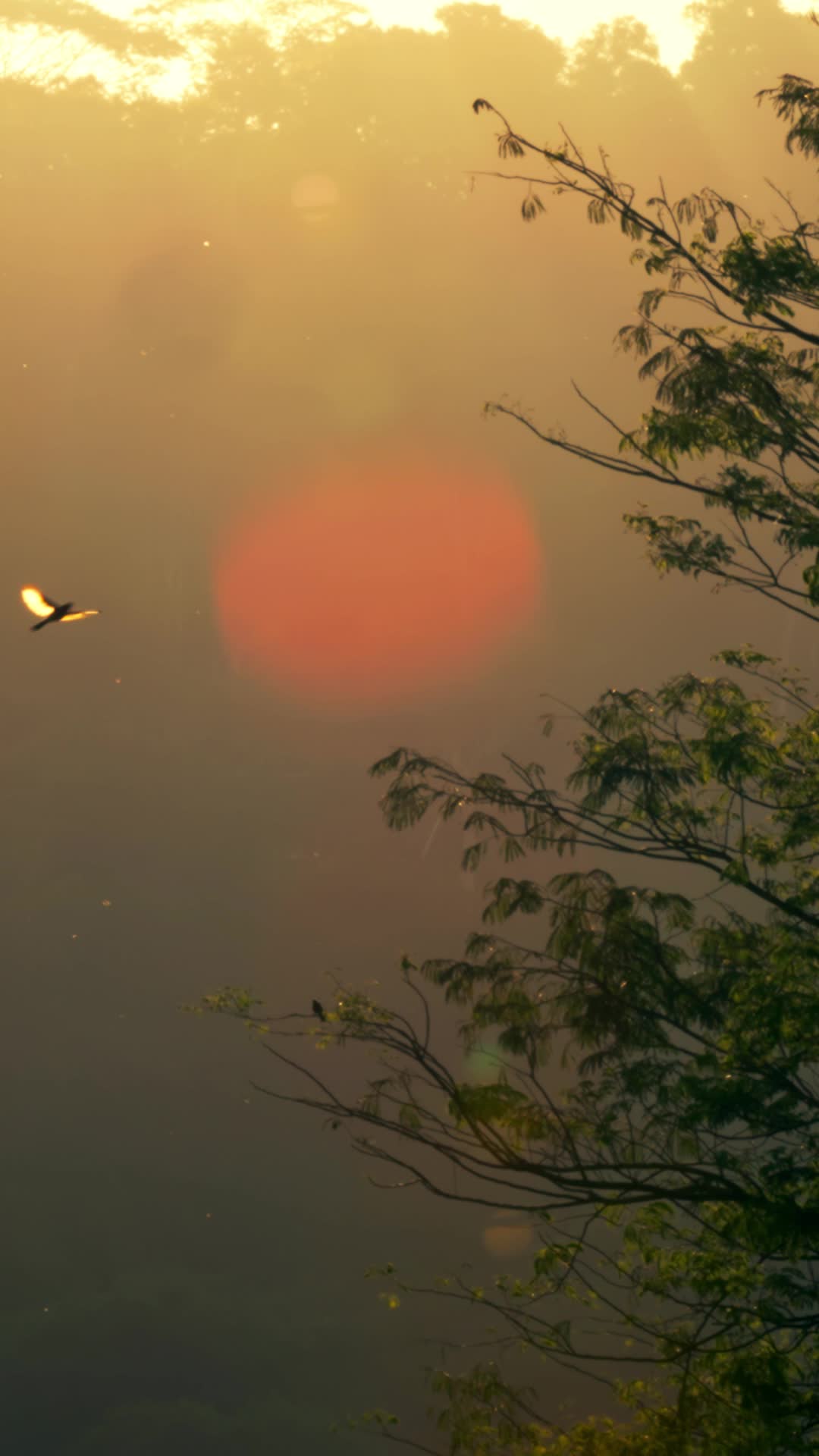 Episódio 27 de Renascida para o Rei Licantropo