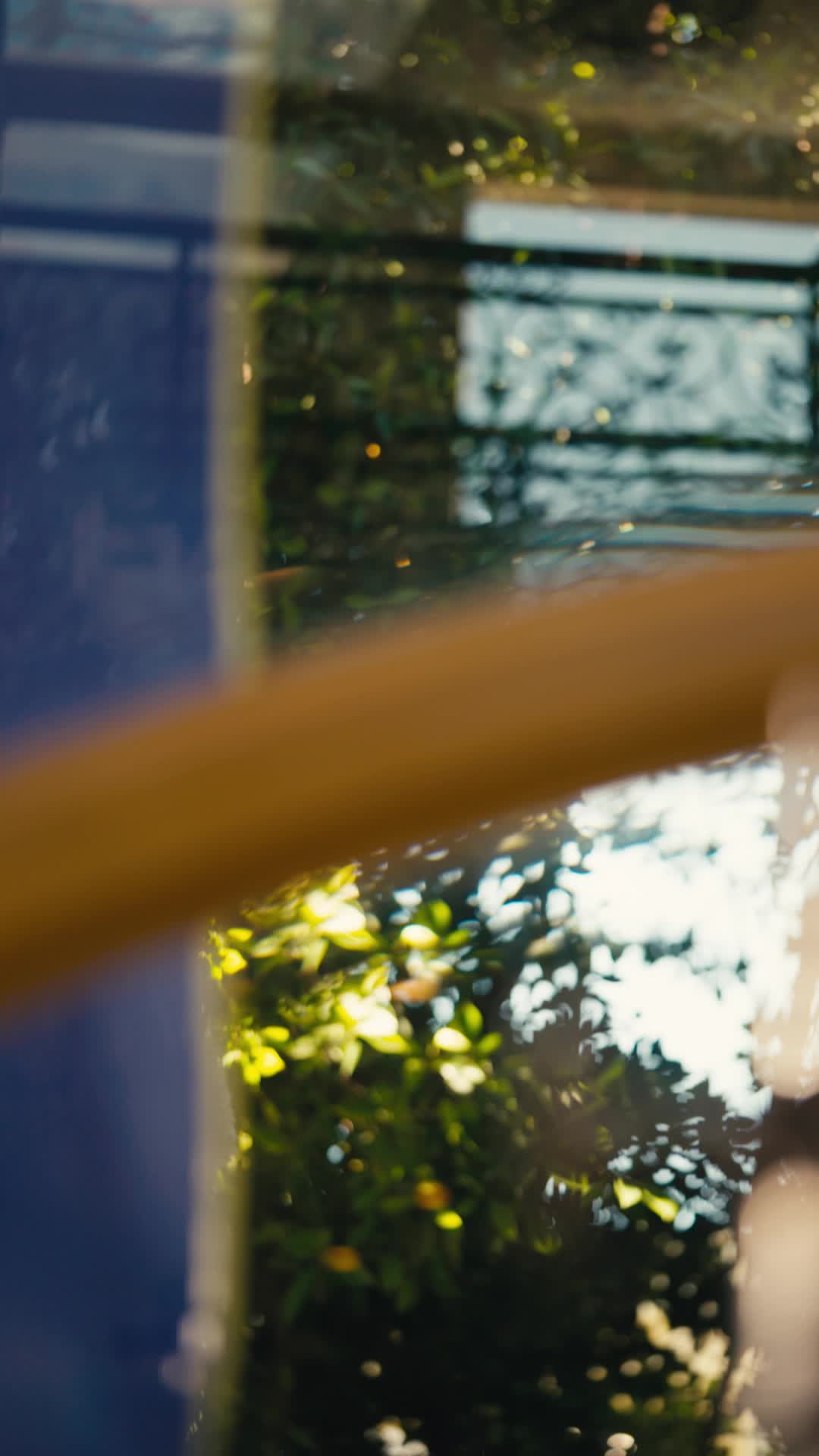 Episódio 77 de Renascida para o Rei Licantropo