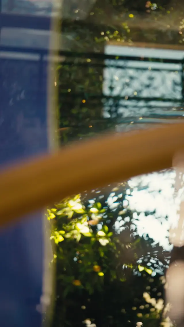 Episódio 77 de Renascida para o Rei Licantropo