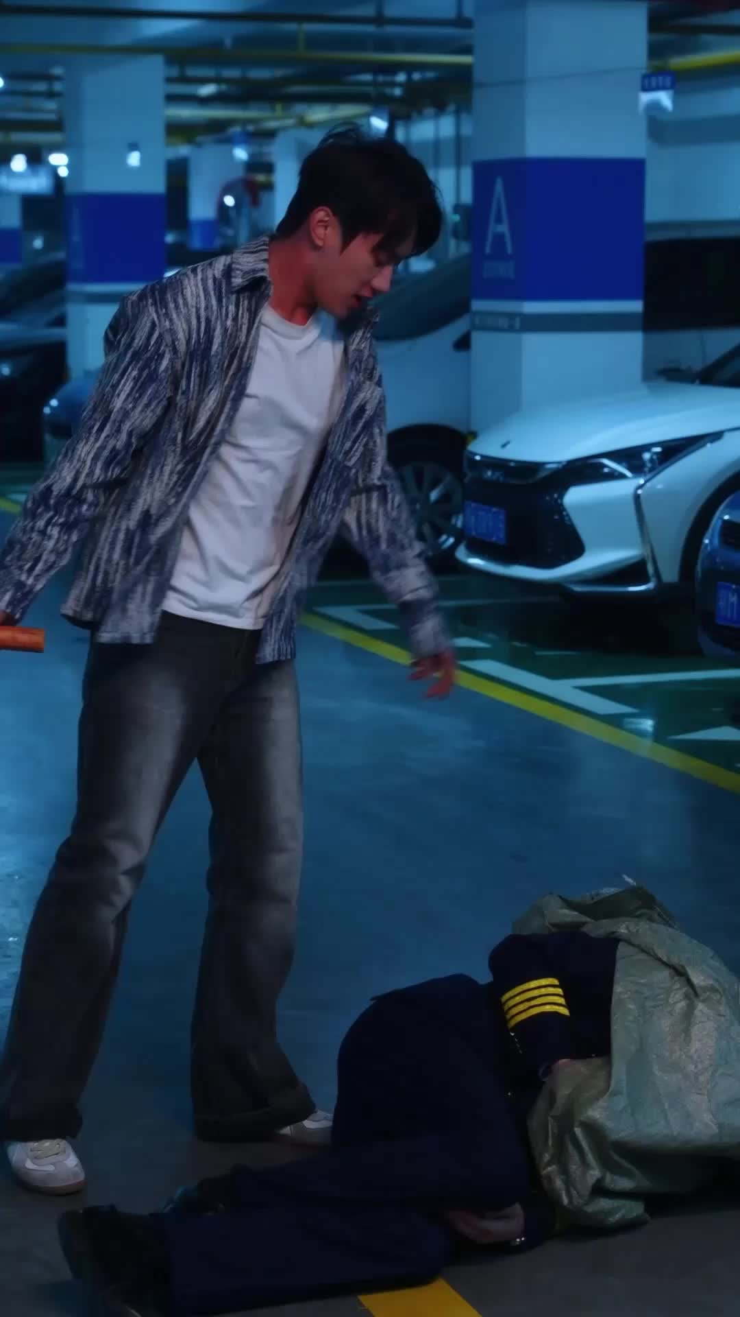 Episódio 29 de Renascida para Voar