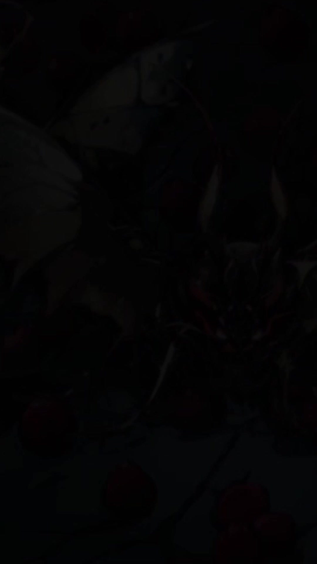 Episódio 30 de Sacrifício me leva a rei dos deuses