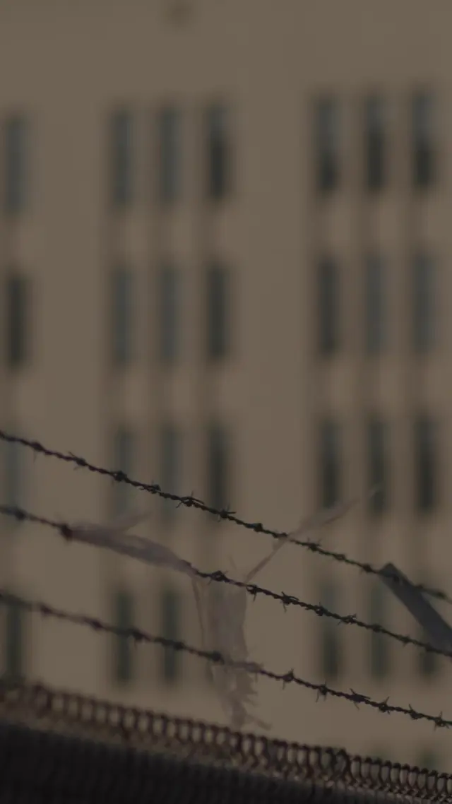 Episódio 1 de Saia da frente, eu sou o Rei do Capital