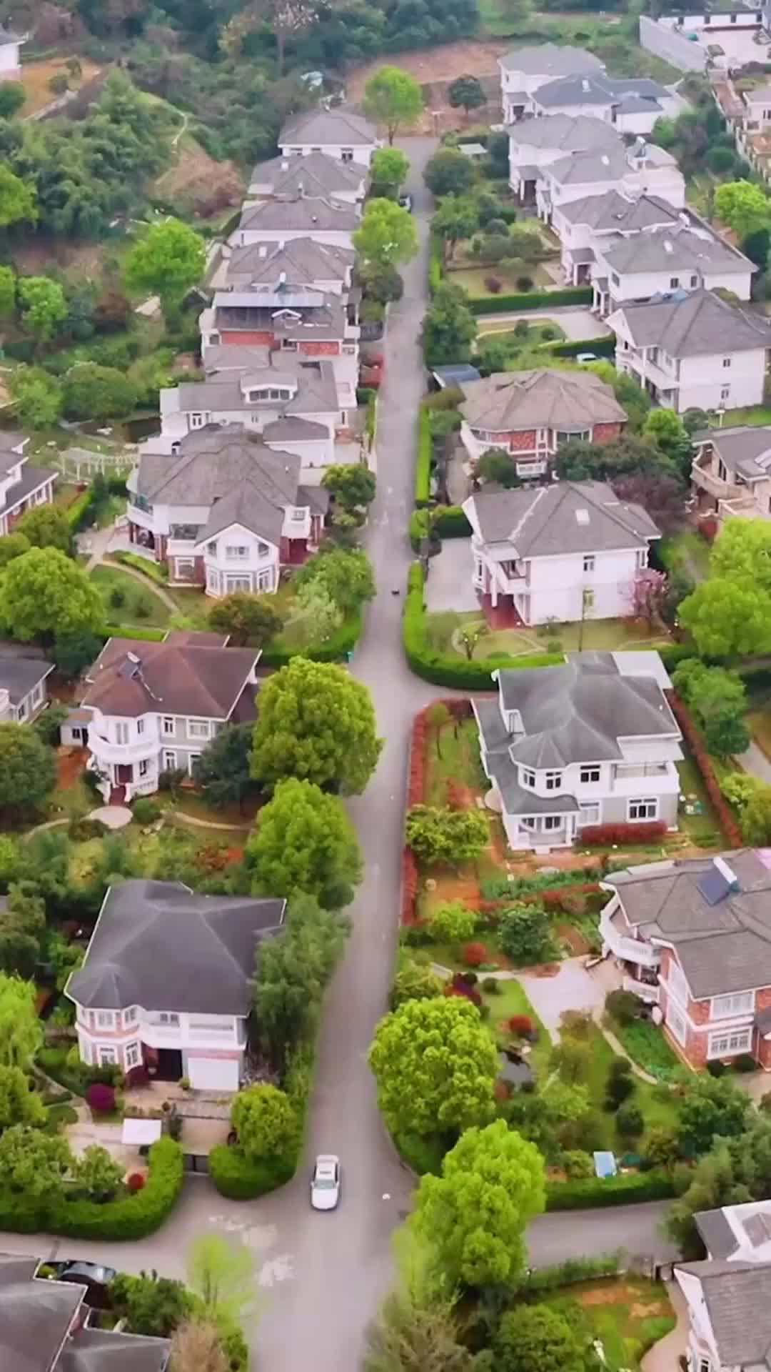 Episódio 61 de Segredos da Gravidez: Meu Marido é Perigoso e Irresistível