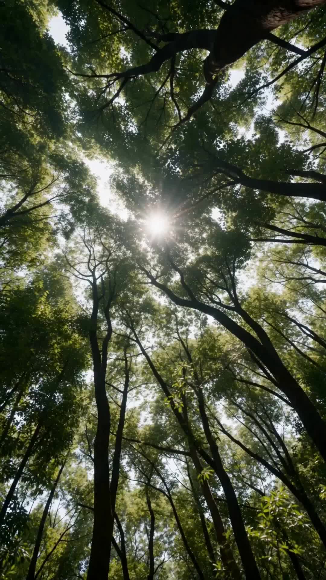 Episódio 4 de Senhora Espectro Pálido