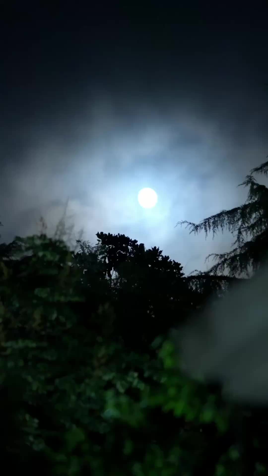Episódio 20 de Sete Anos Sendo Sua Sombra