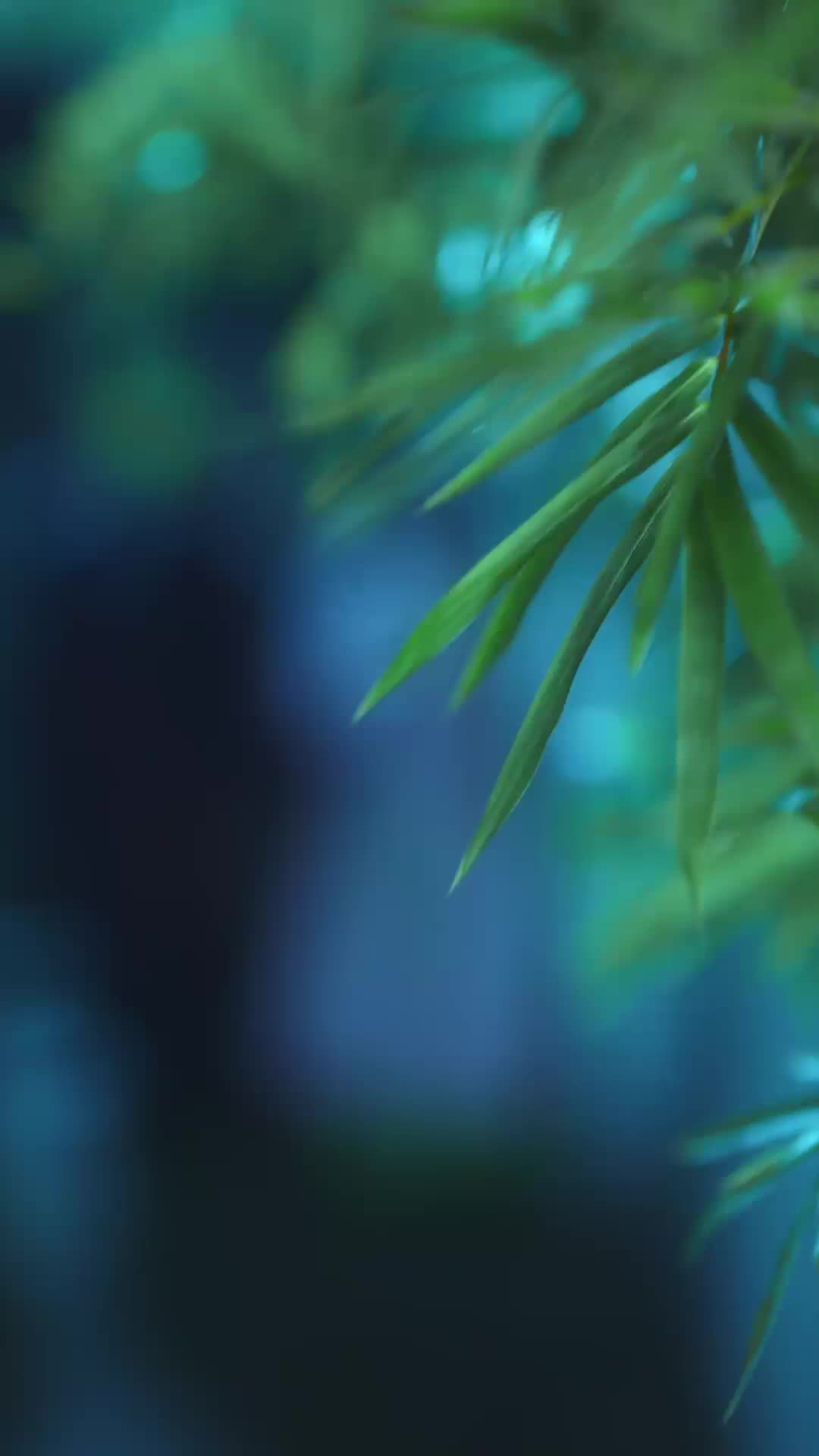 Episódio 16 de Sob as Cinzas da Injustiça
