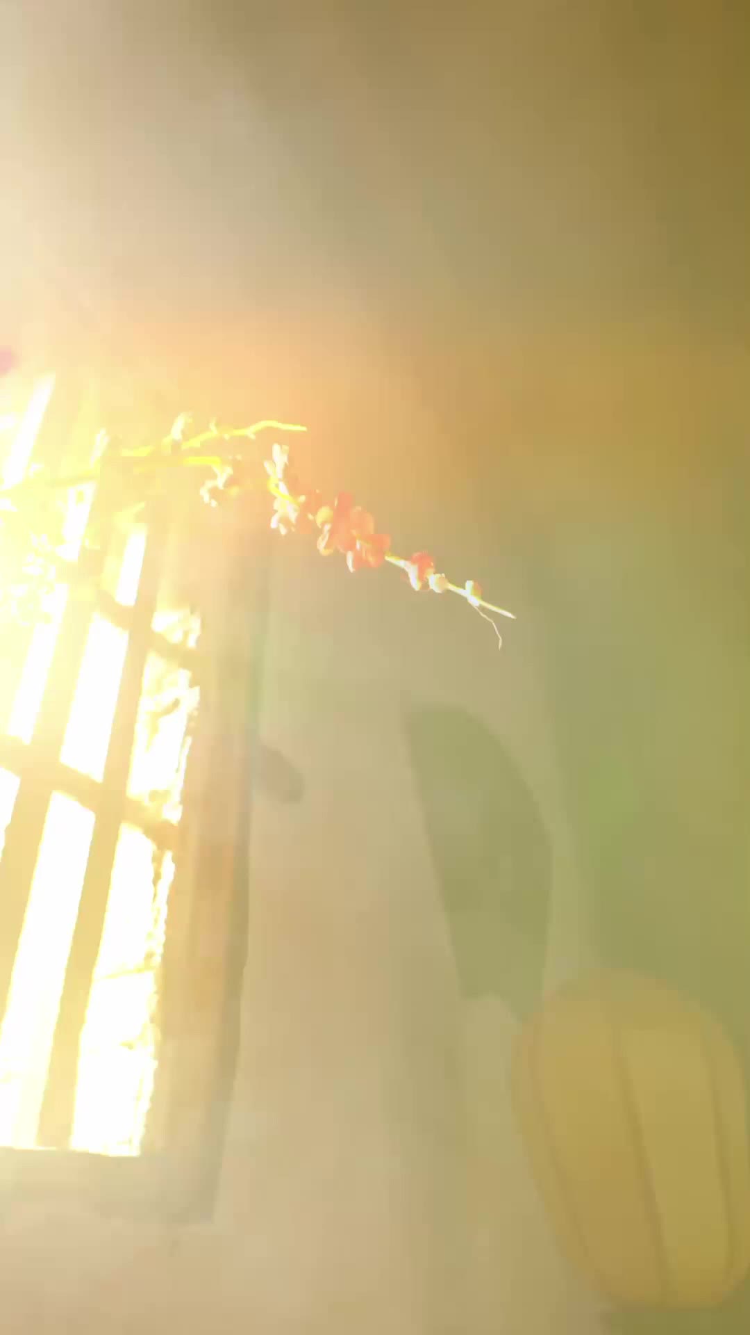Episódio 5 de Sob as Cinzas da Injustiça