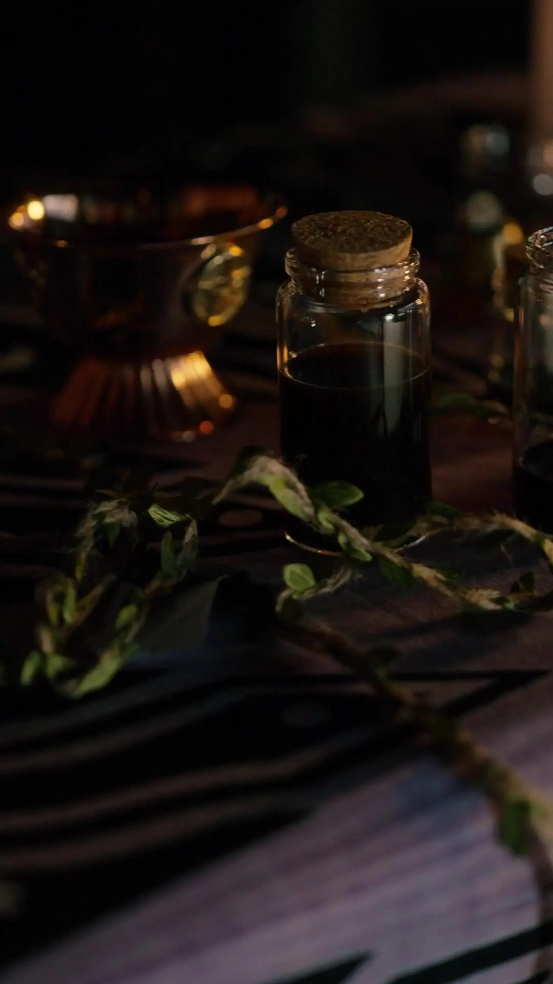 Episódio 1 de Tentação Fatal: Entre Dois Alfas