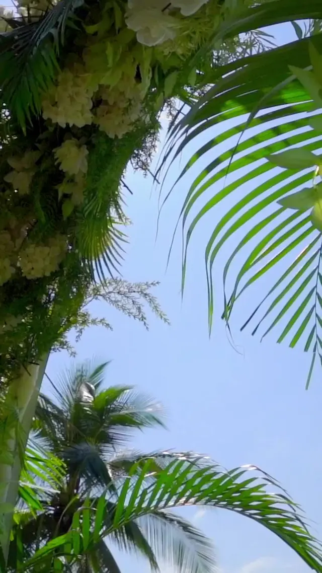 Episódio 1 de Um Encontro Predestinado