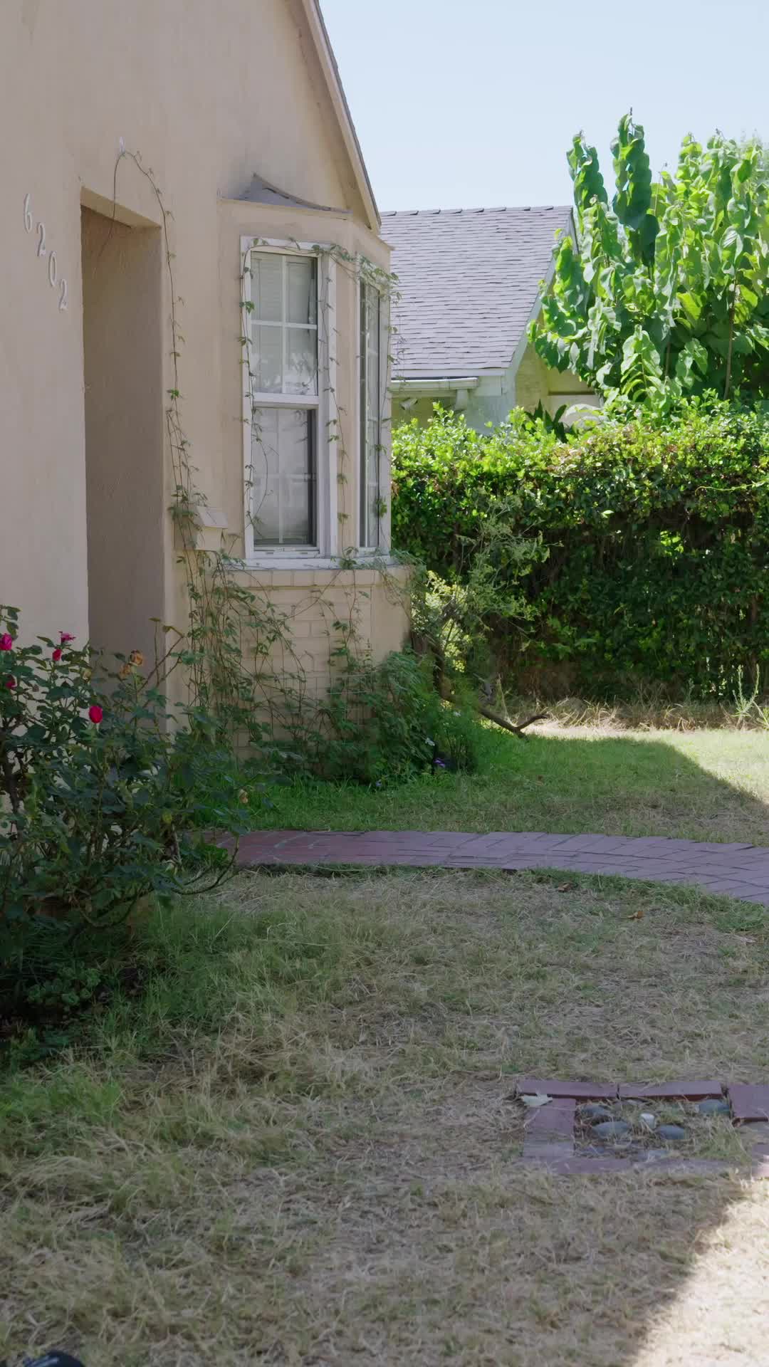 Episódio 8 de Um Encontro Predestinado