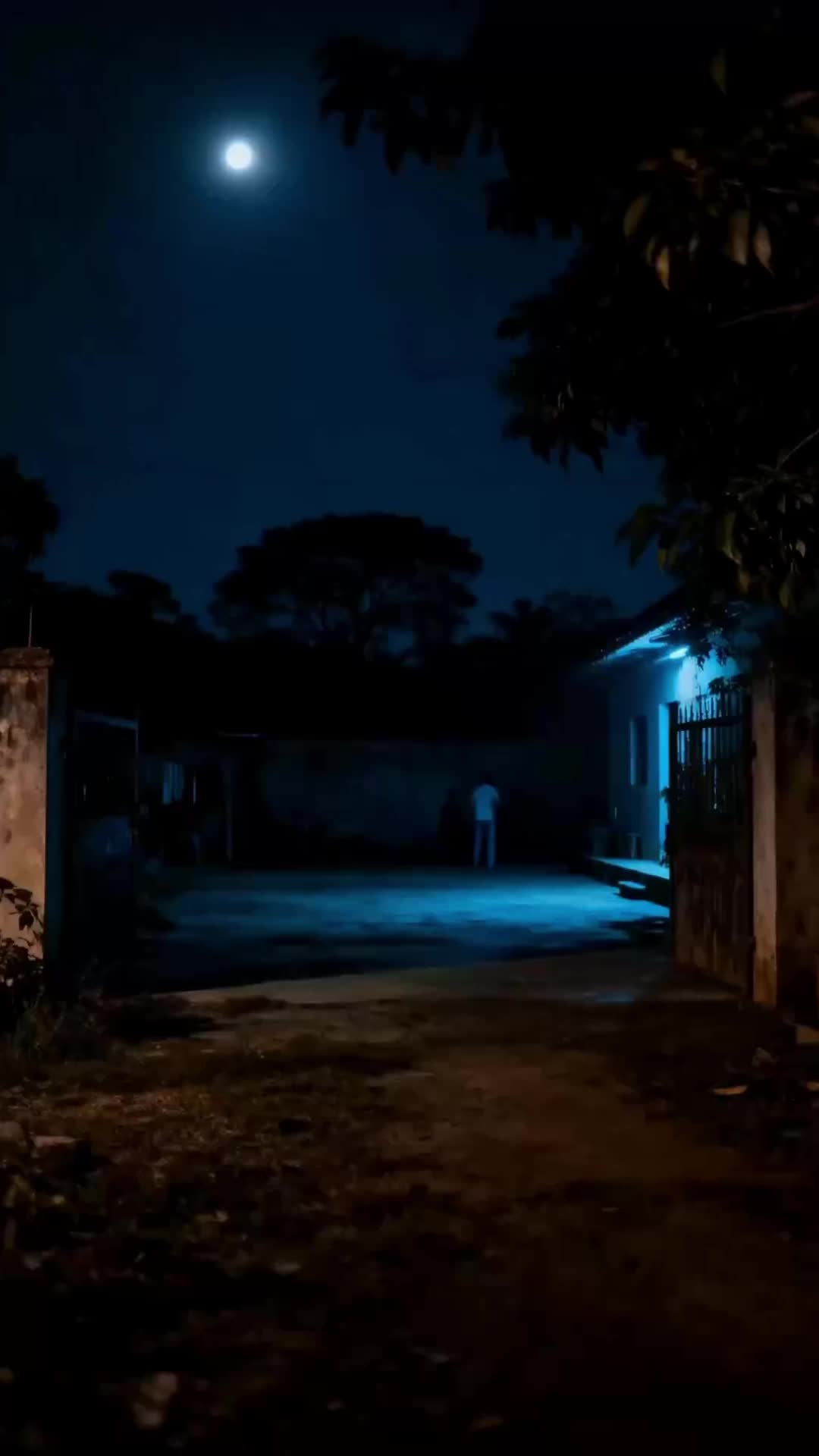 Episódio 12 de Uma promessa a cumprir