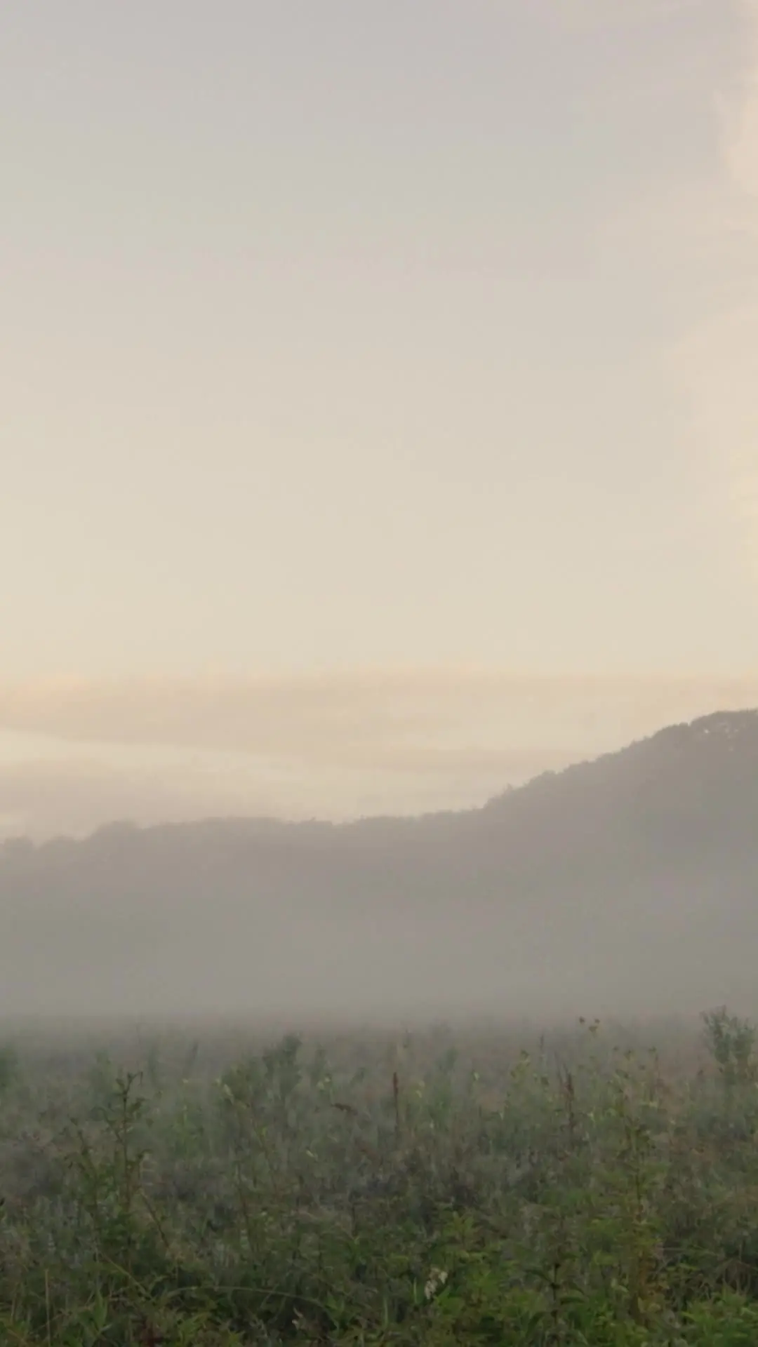 Episódio 1 de Verdadeiro Luna