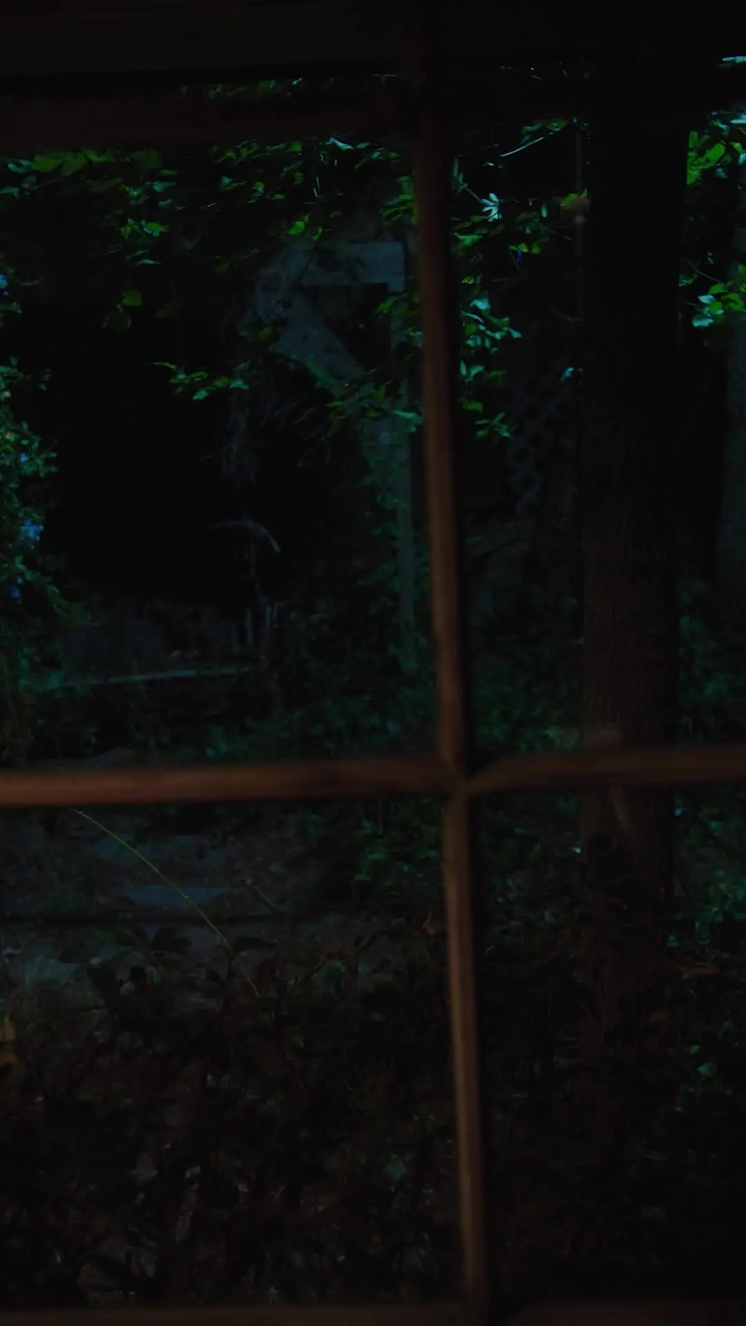 Episódio 31 de Verdadeiro Luna