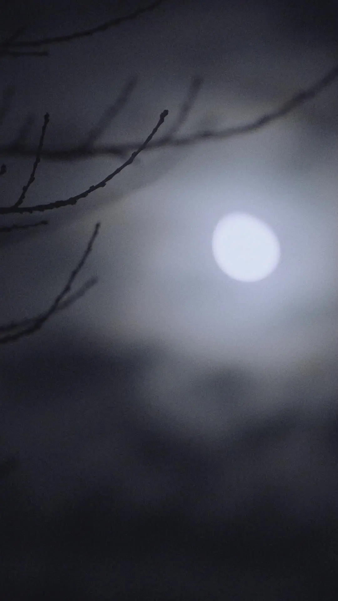 Episódio 34 de Verdadeiro Luna