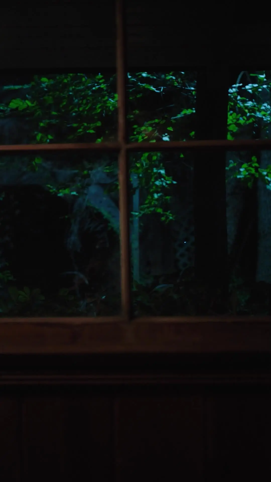 Episódio 36 de Verdadeiro Luna