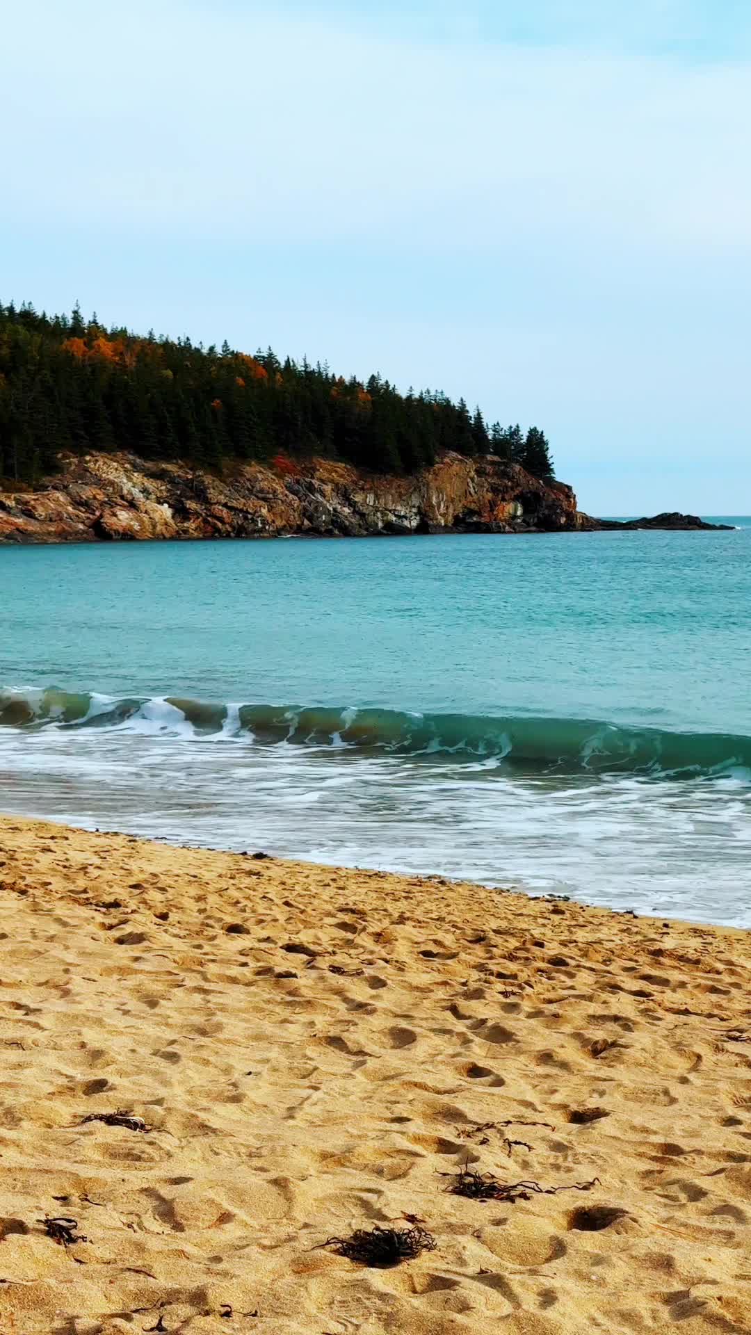 Episódio 7 de Virgem do Voleibol de Praia