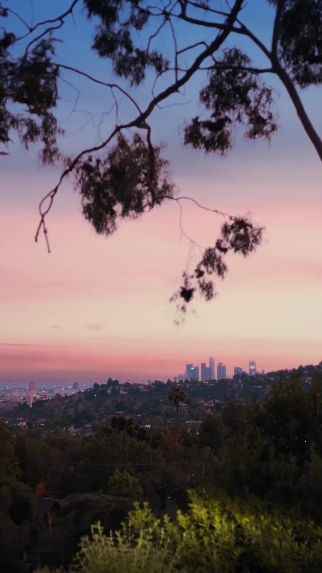 Episódio 41 de Você Tem um Homem