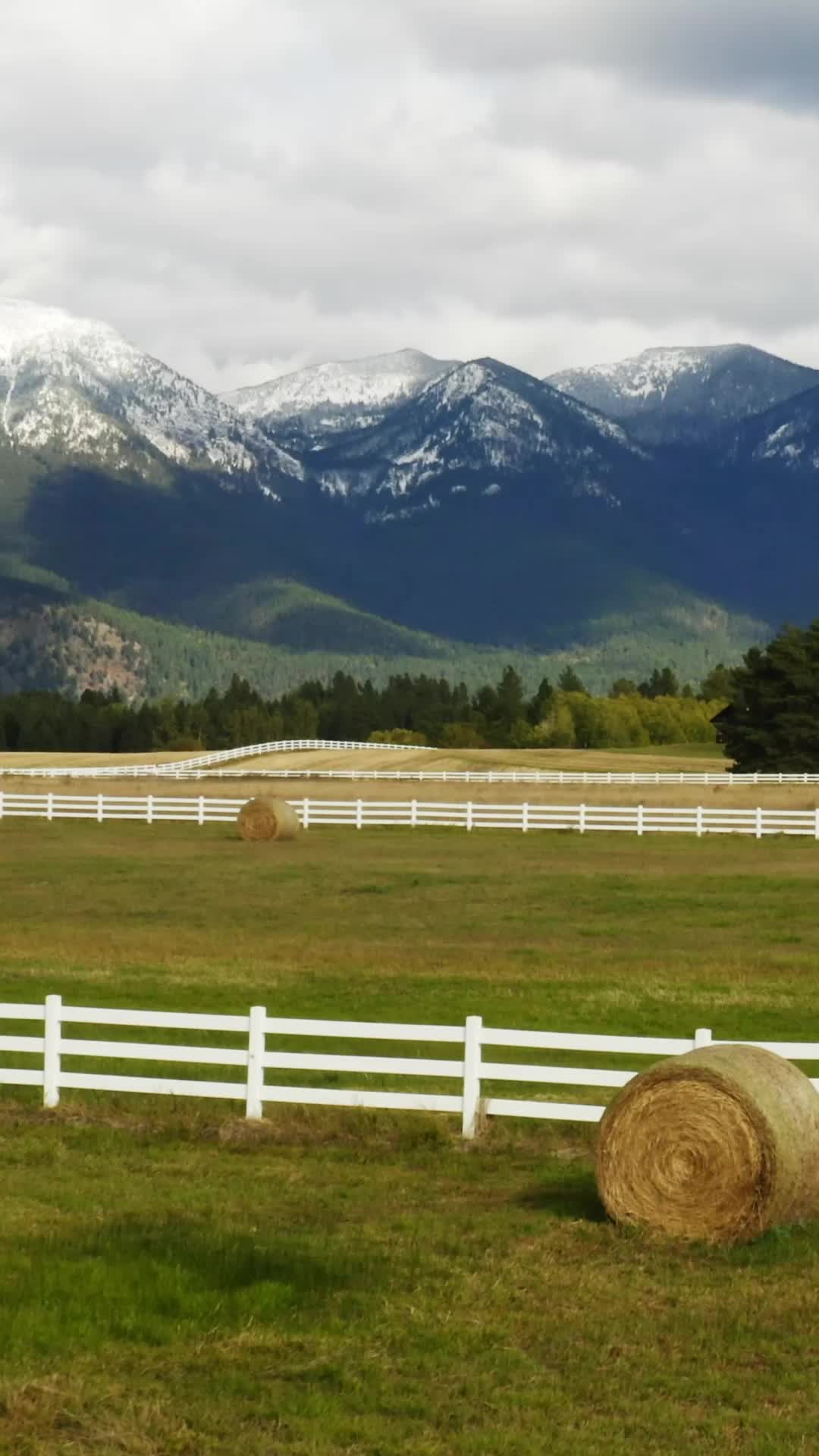 Episódio 1 de Yellowstone: Rei de Montana